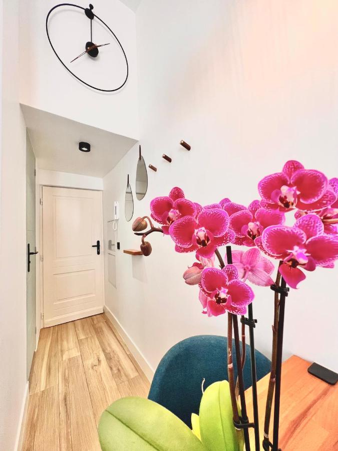 Apartament Duplex Le Gesu - Heart Of Old Town - Modern - Wifi - Clim Nicea Zewnętrze zdjęcie